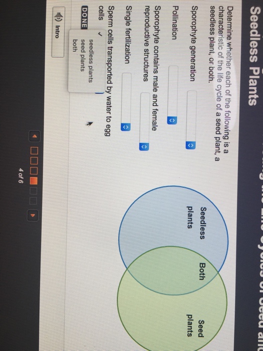 Cycle for both male and online female