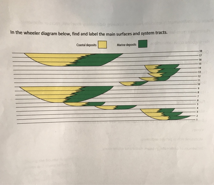 Solved GEOLOGY WHEELER DIAGRAM