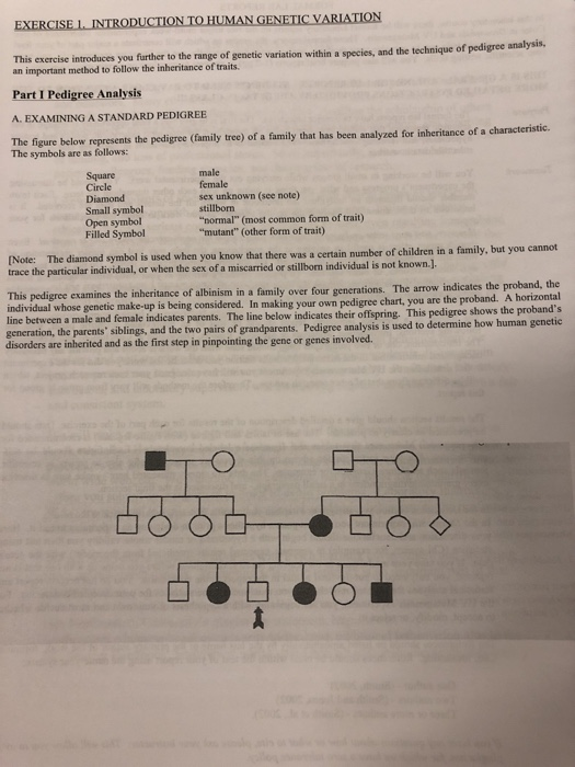 Solved UNANGENETCVARİATION This exercise introduces you | Chegg.com