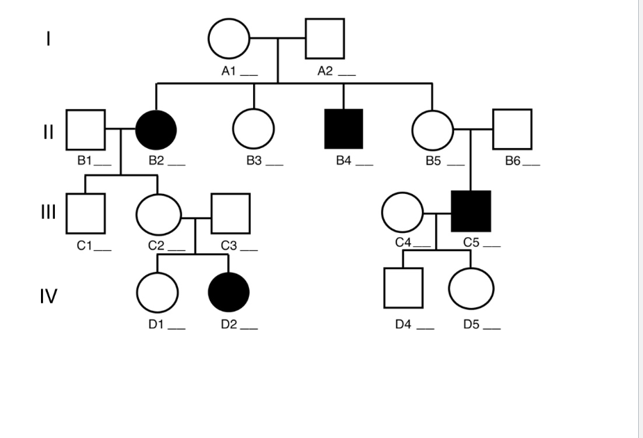 Solved 1) What Is The Probability That B3 Is A Carrier Of 