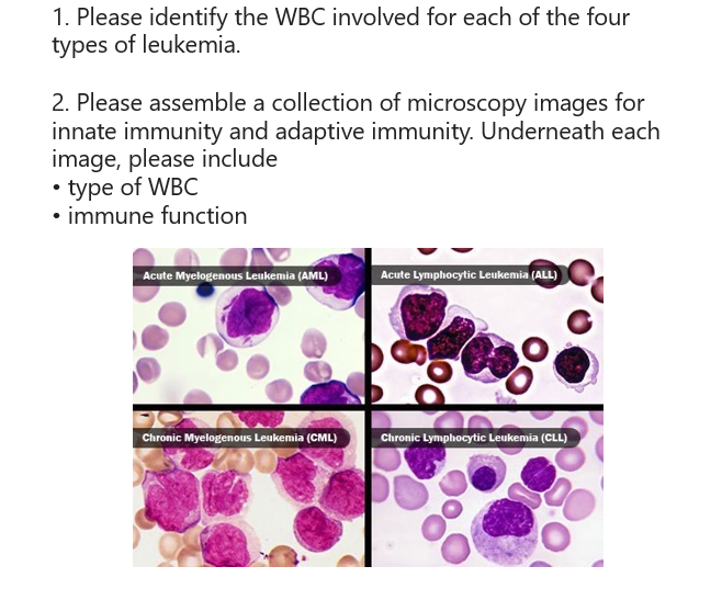 Solved 1. Please identify the WBC involved for each of the | Chegg.com