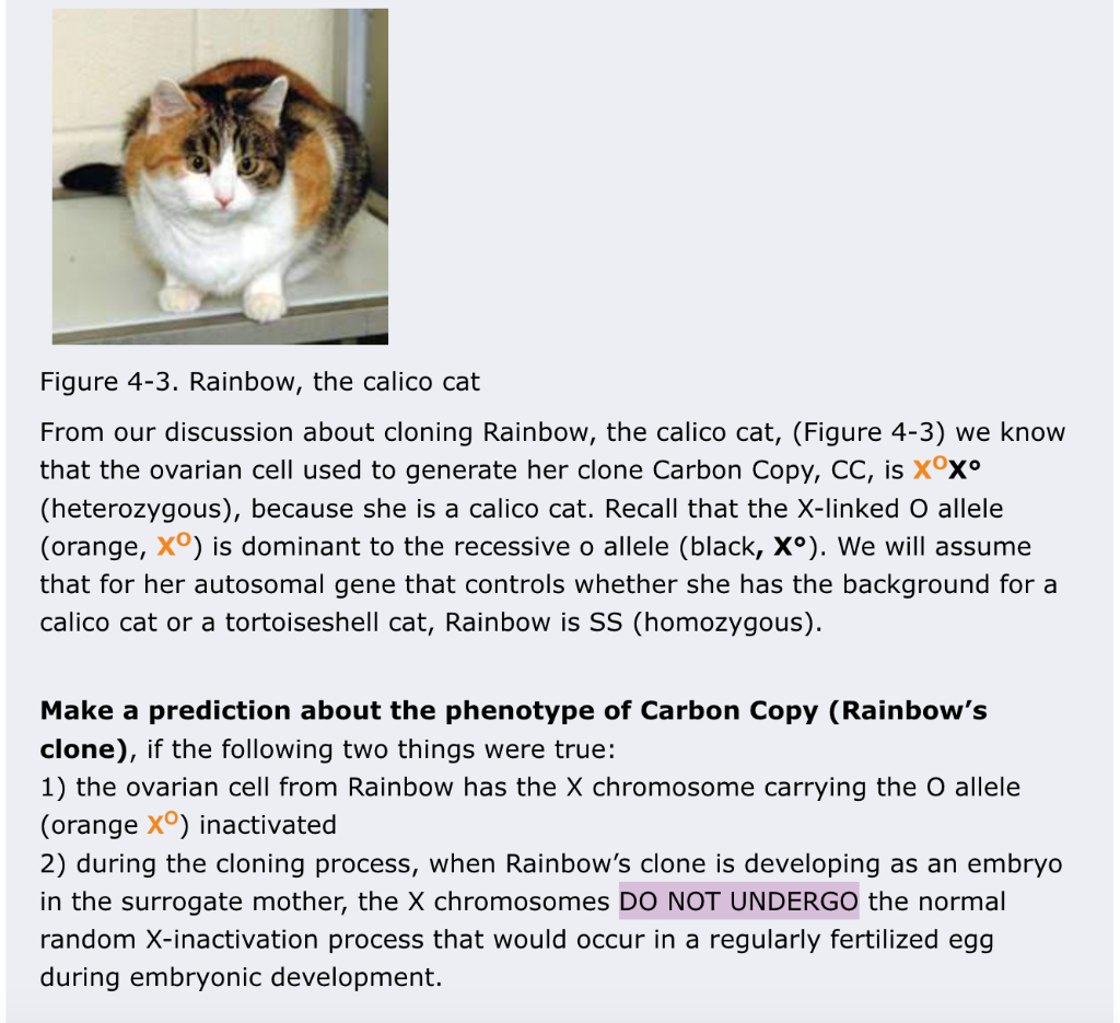 Solved Figure 43. Rainbow, the calico cat From our