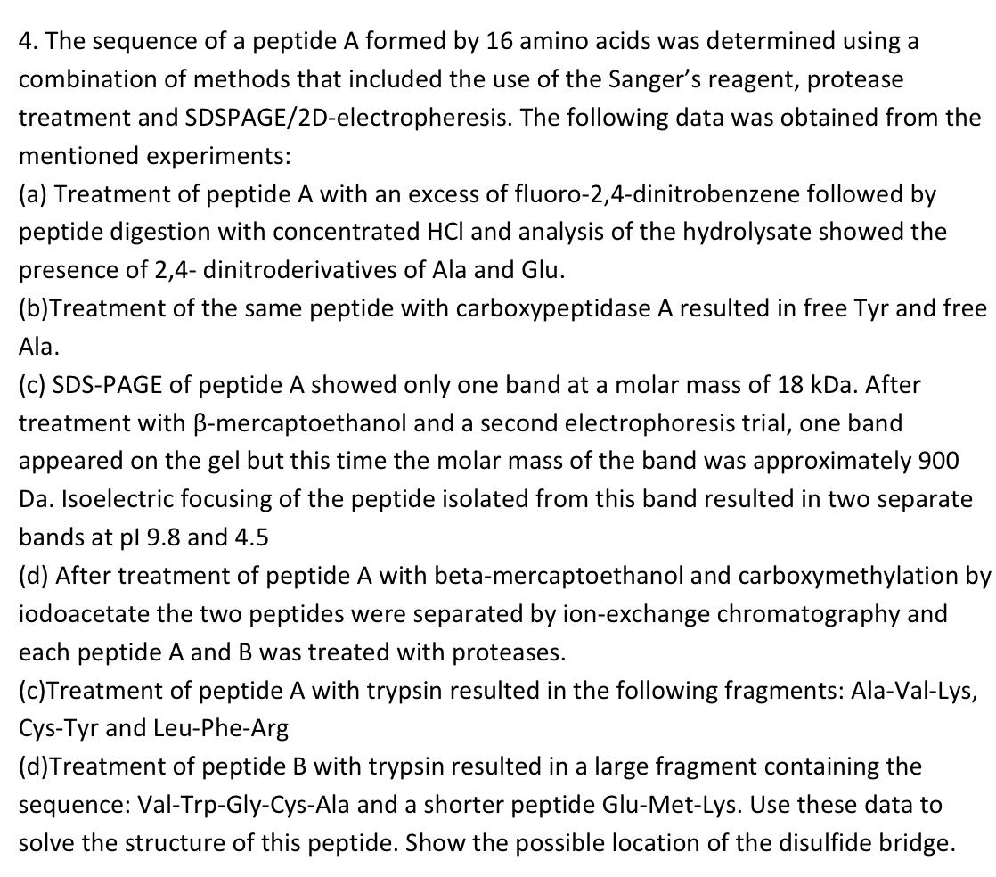 Solved 4. The sequence of a peptide A formed by 16 amino | Chegg.com