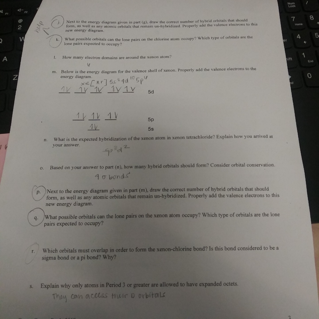 Solved Are the questions that I completed correct, also can | Chegg.com