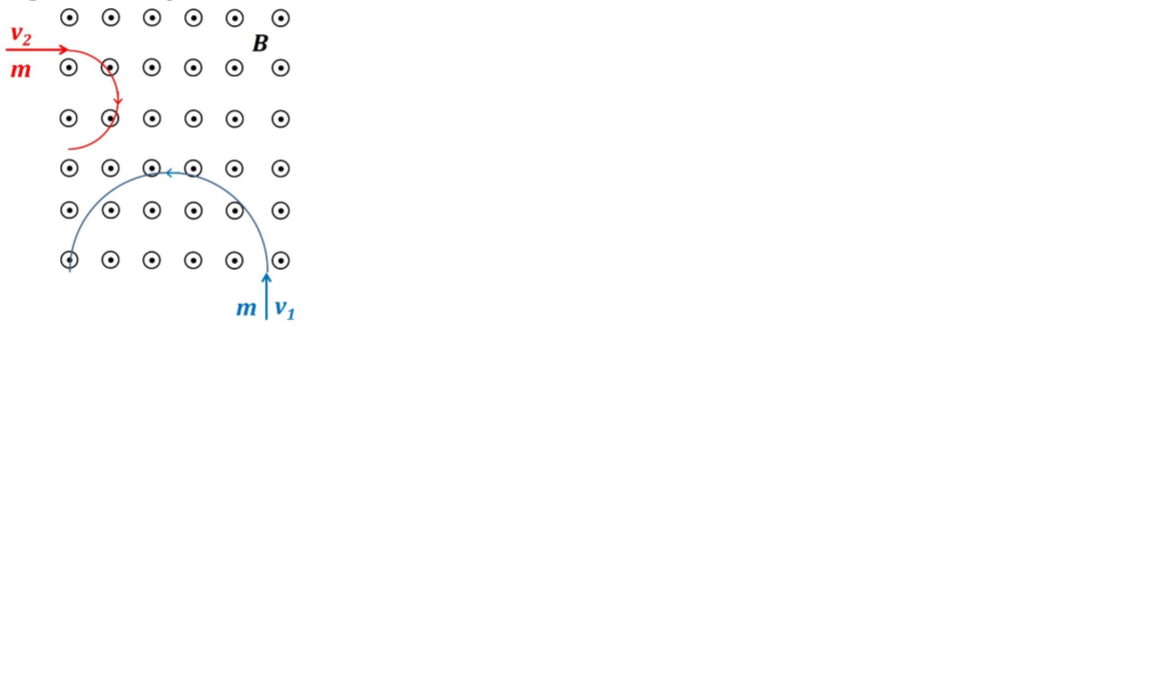 Solved two partcles of the same mass enter a magentic field | Chegg.com