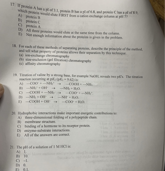 Solved 17. I protein A has a pl of 3.1, protein B has a pl | Chegg.com