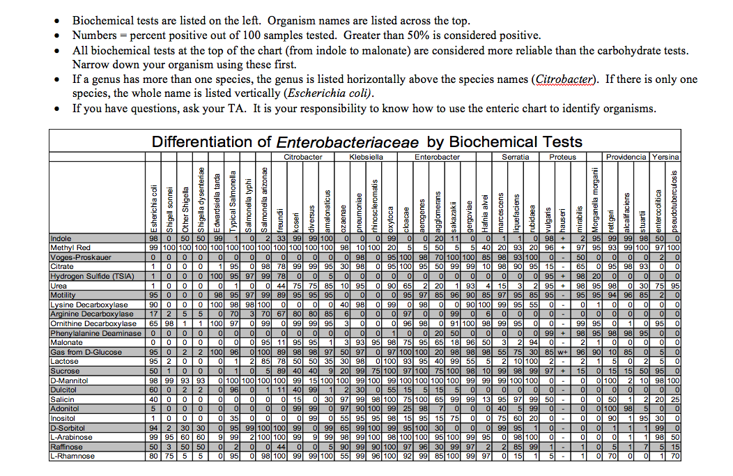 Biochemical Identification Chart