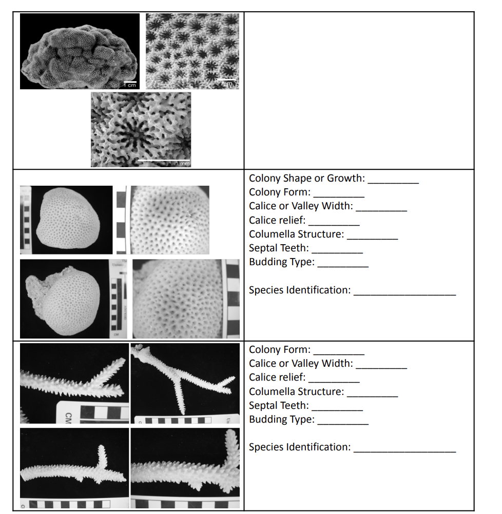 \begin{tabular}{|l|l|} \hline Photos of Unknown | Chegg.com