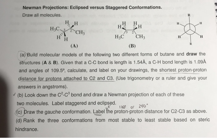 Solved Newman Projections: Eclipsed versus Staggered | Chegg.com