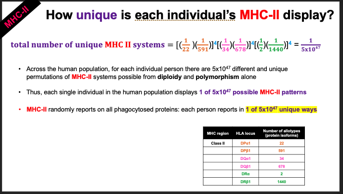 With respect to both MHC display systems, calculate | Chegg.com