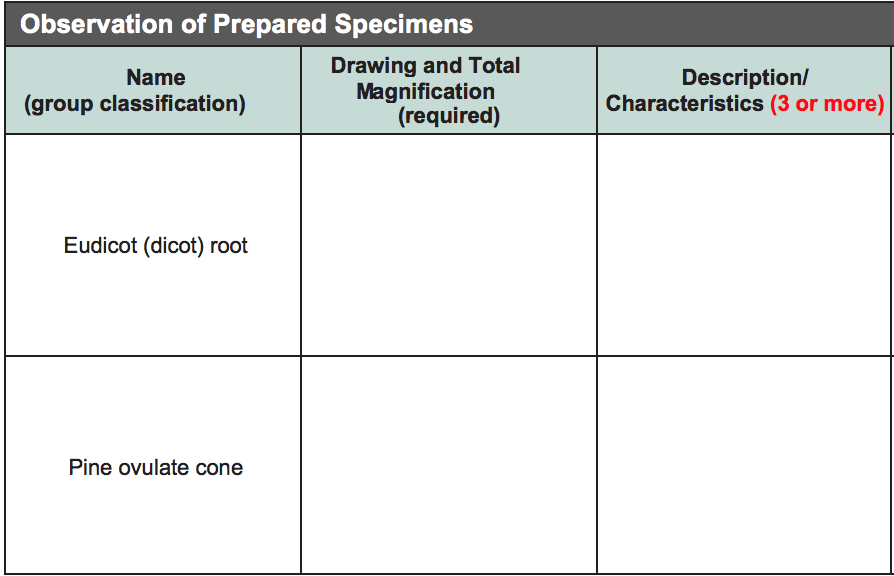 Solved Observation of Prepared Specimens Drawing and Total