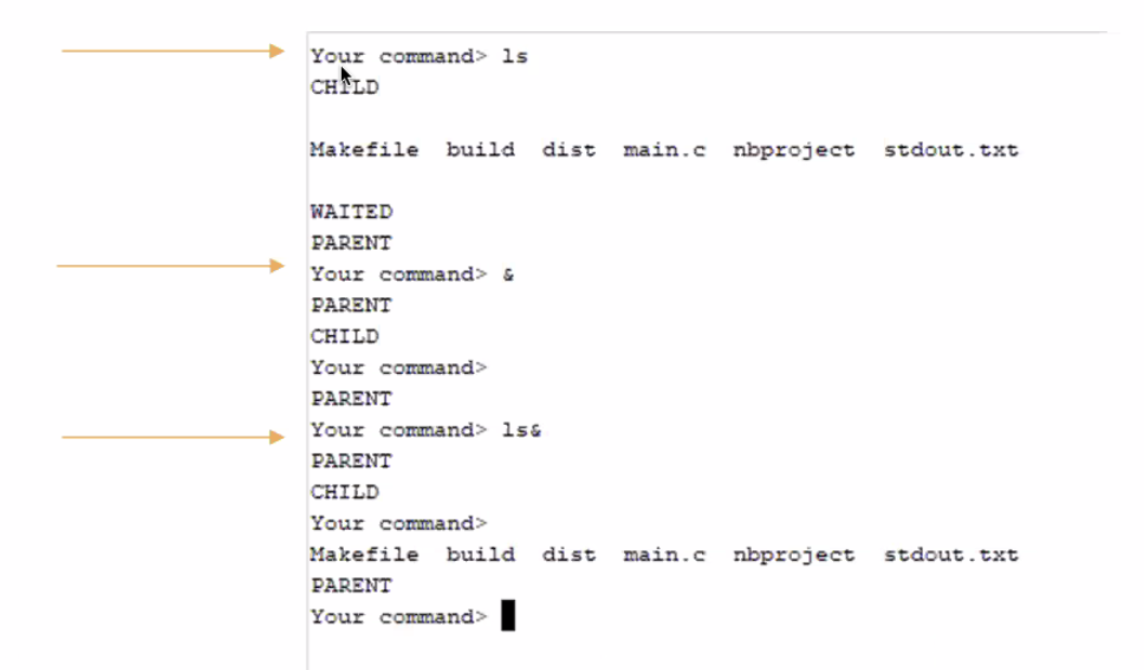 Create a basic shell script Your shell needs to | Chegg.com