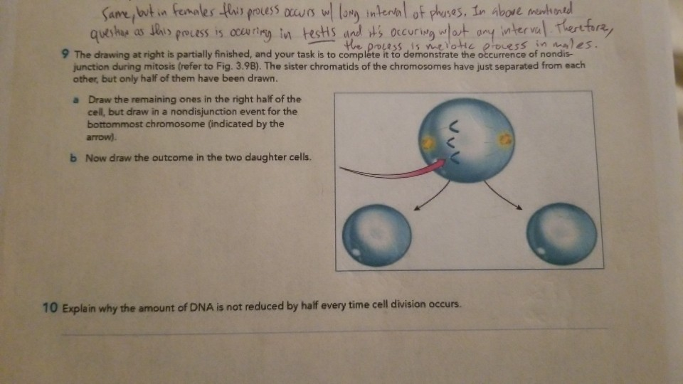 Solved Same, but in females this process occurs w/ long