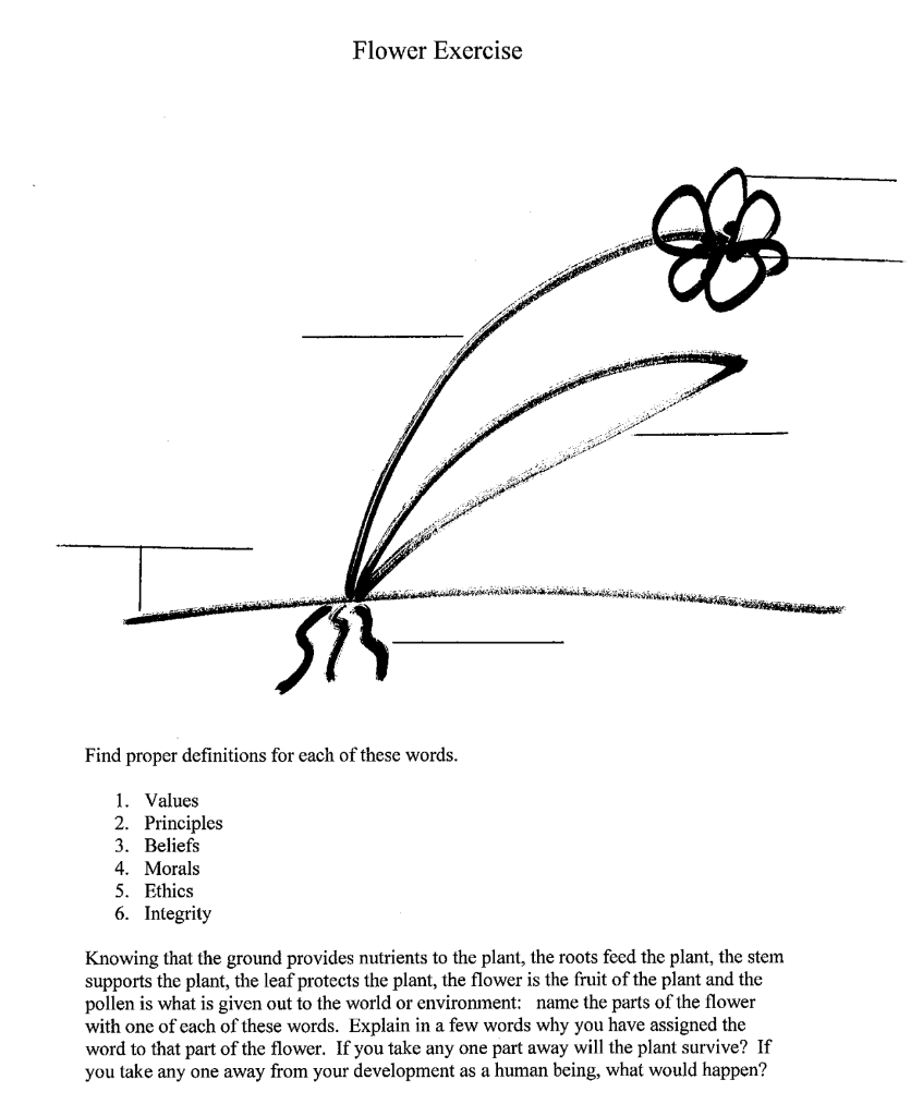 Solved Flower Exercise તાપમાનમાં વૈકપ્રિકિMurliામણ થઇ જાય