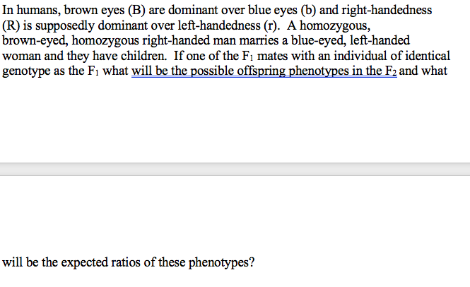 Solved In Humans Brown Eyes B Are Dominant Over Blue Eyes 3721