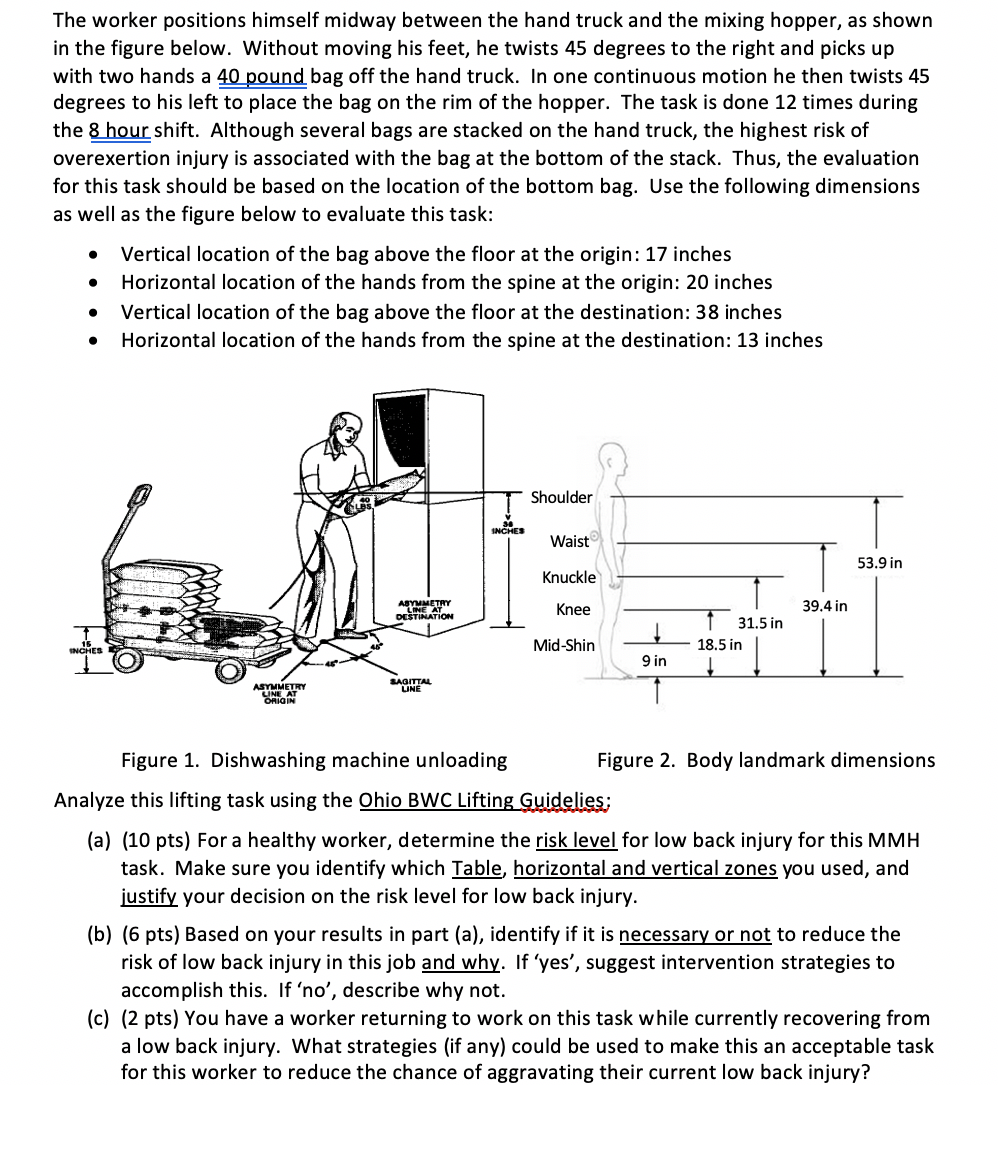 Solved The worker positions himself midway between the hand | Chegg.com