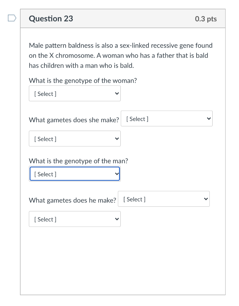 Solved Question 23 0.3 pts Male pattern baldness is also a | Chegg.com