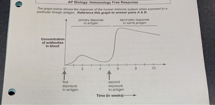 ap bio frq immune response