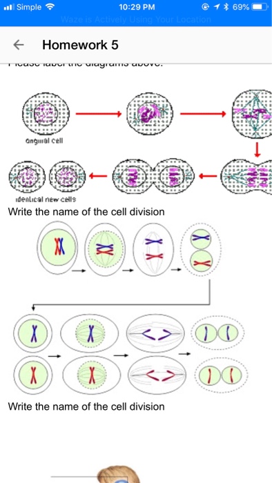 Solved nli Simple? 10:29 PM * 69%. Homework 5 ongiial cell | Chegg.com