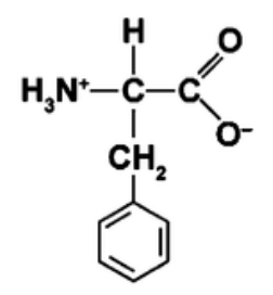 Solved 1. Is the amino acid pictured below categorized as a | Chegg.com