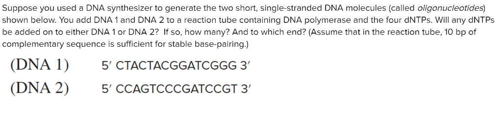 Solved Suppose you used a DNA synthesizer to generate the | Chegg.com