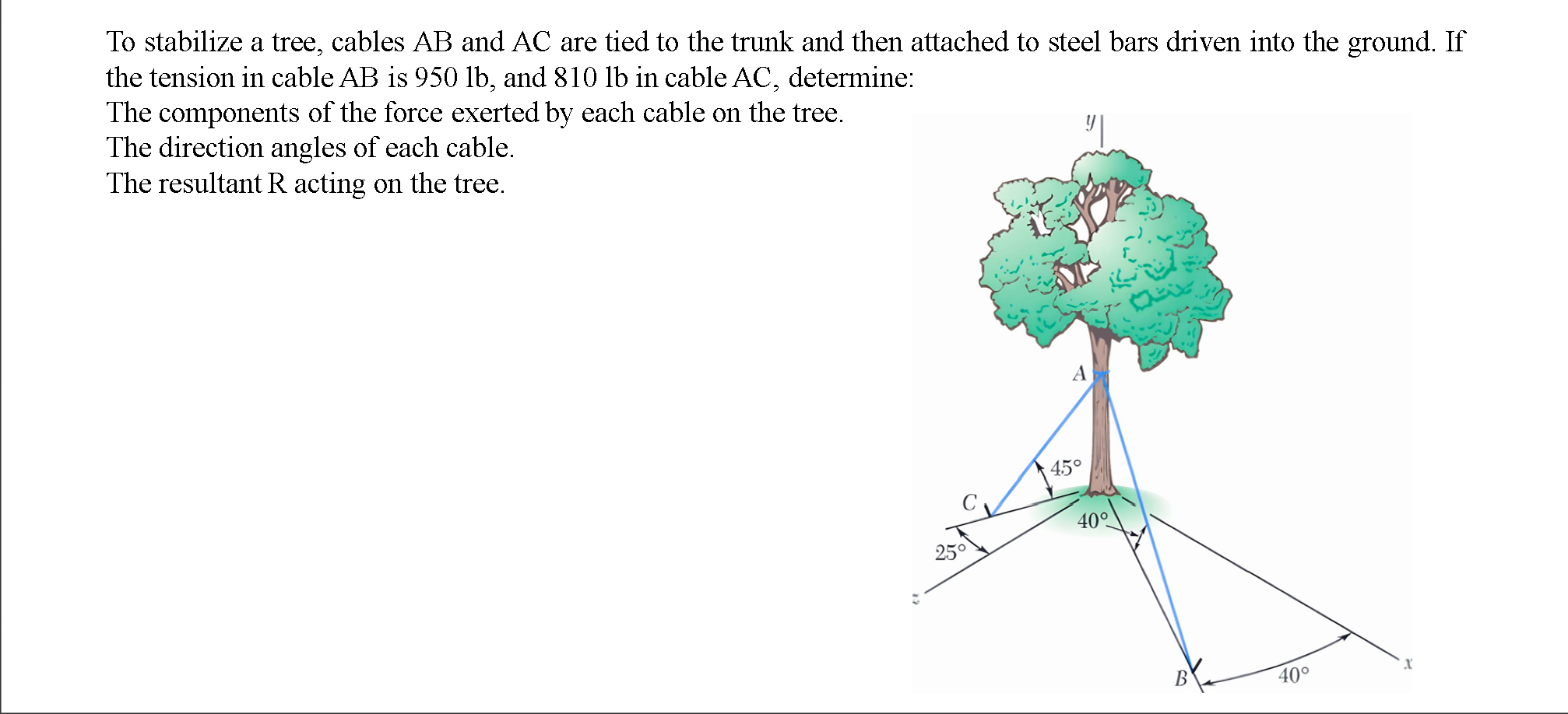 Solved To stabilize a tree, cables AB and AC are tied to the | Chegg.com