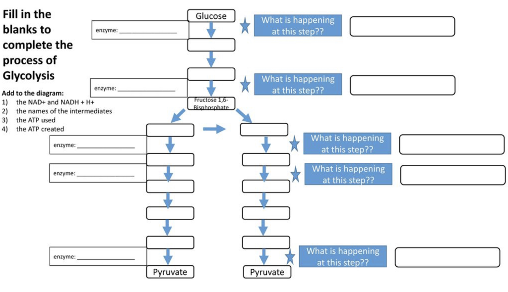 Solved Fill In The What Is Happening Blanks To At This 0335