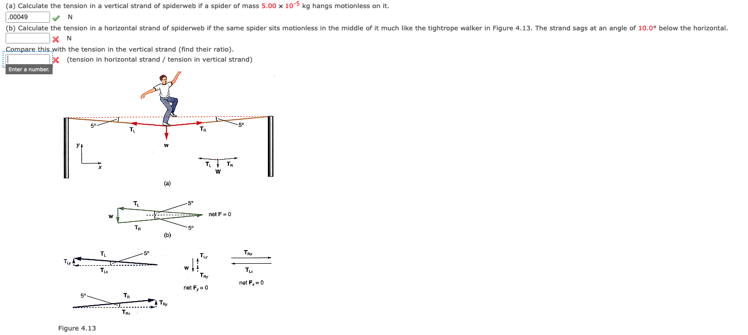 Solved (a) Calculate the tension in a vertical strand of | Chegg.com