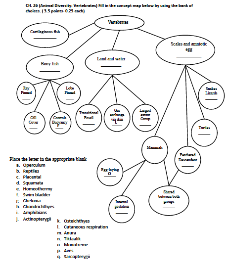 Solved CH. 26 (Animal Diversity: Vertebrates) Fill in the | Chegg.com