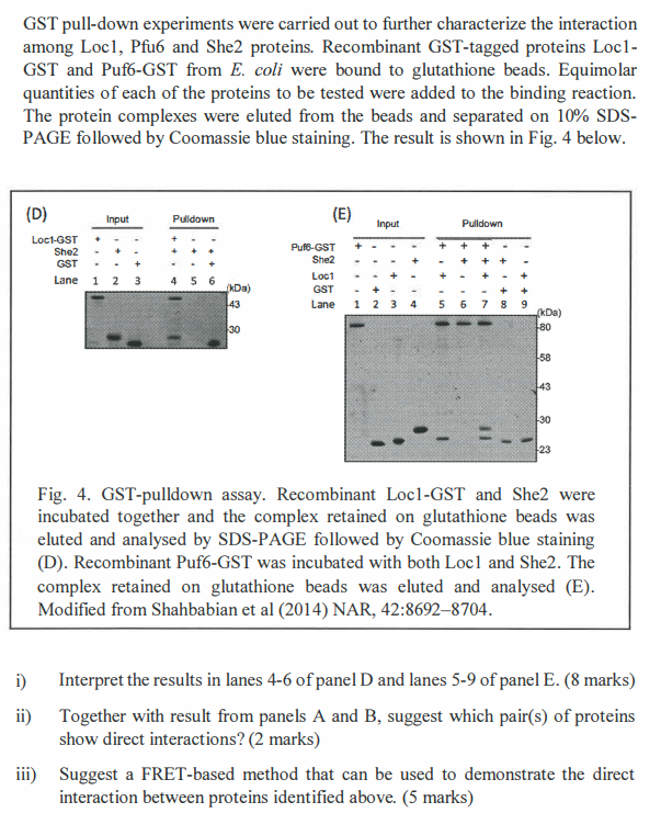 gst glutathione interaction Frontiers main image 0