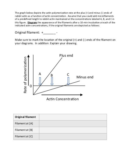 The graph below depicts the actin polyme rization | Chegg.com