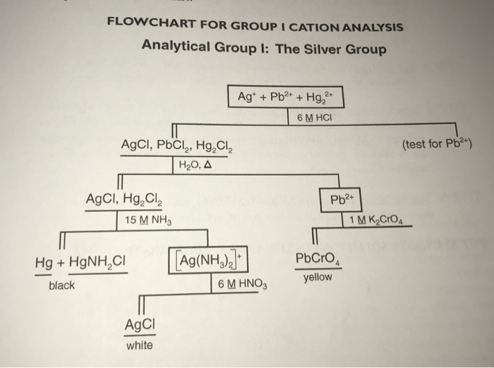 Solved LABORATORY 33 G RO UP I CATIONS: THE SILVER GRO | Chegg.com