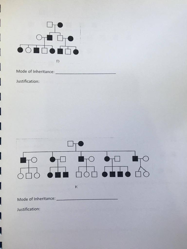 Solved Group No.: Section: Name: Exercise 8 Analysis of | Chegg.com