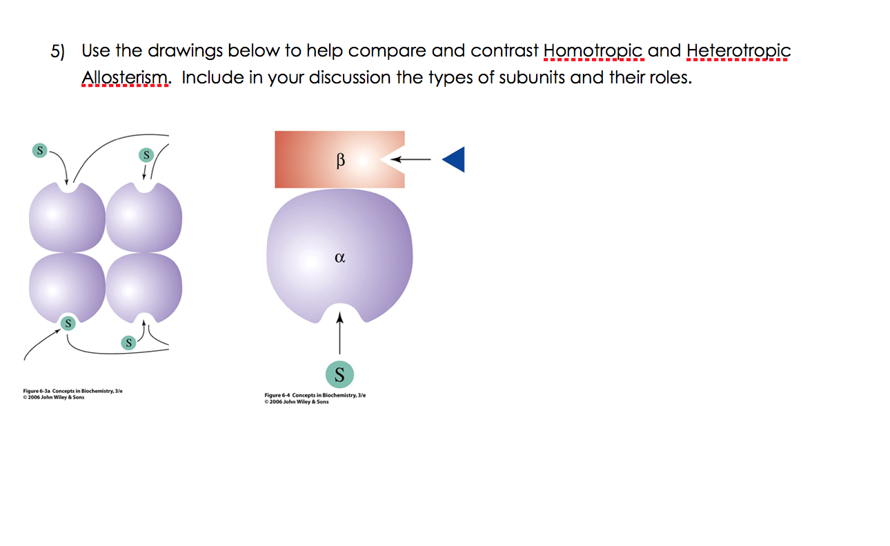 Solved 5) Use the drawings below to help compare and | Chegg.com