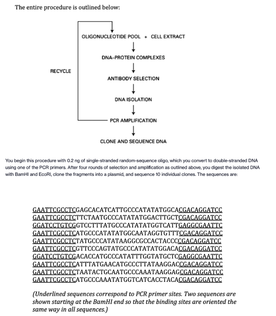 Solved a. What is the consensus sequence to which your | Chegg.com