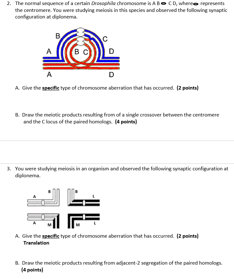 2. The normal sequence of a certain Drosophila | Chegg.com