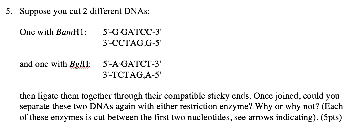 Solved 5. Suppose you cut 2 different DNAS: One with BamH1: | Chegg.com