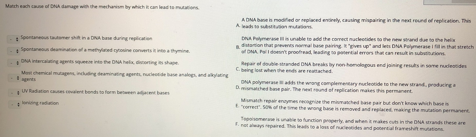 Solved Match each cause of DNA damage with the mechanism by | Chegg.com