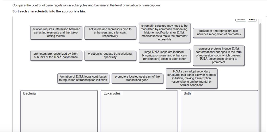 Solved Compare the control of gene regulation in eukaryotes | Chegg.com