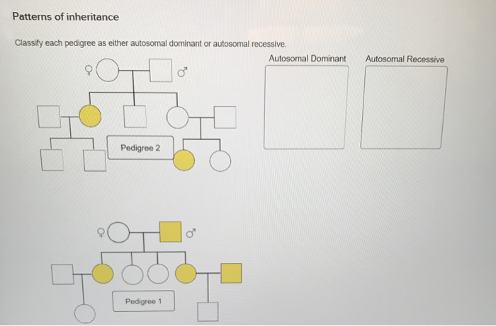 Solved Patterns Of Inheritance Classify Each Pedigree As 9397