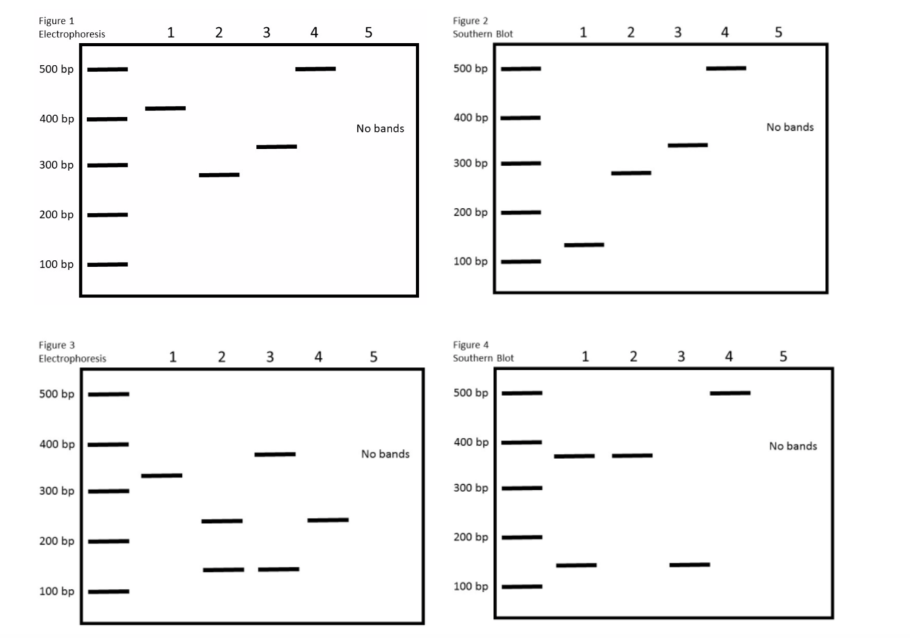 Solved I Need Help Understanding How To Read Pcr And Chegg Com