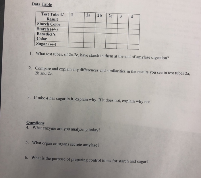 Solved Data Table Test Tube #/ | 1 2a 2b 2c 3 4 Result | Chegg.com
