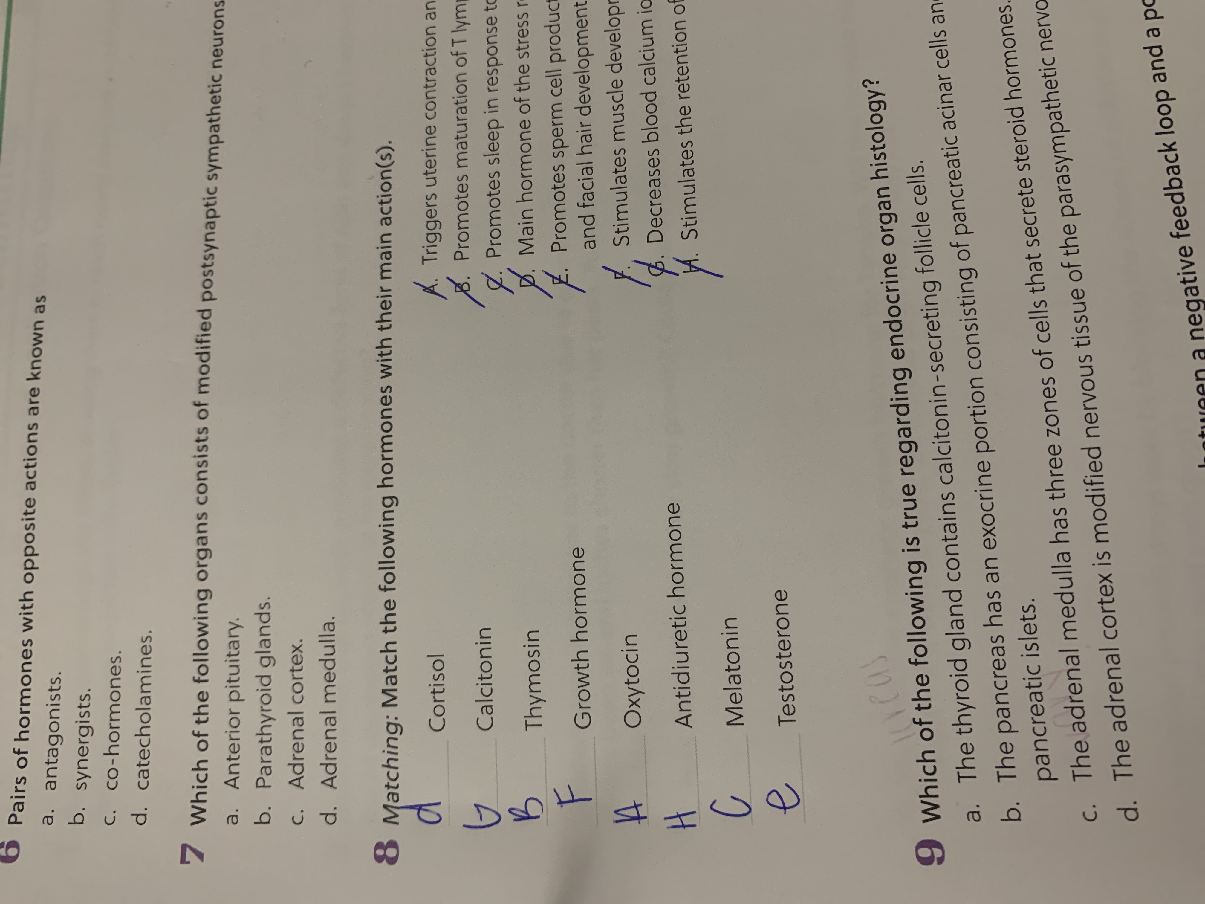 Which Pairs Of Hormones Have Opposite Effects