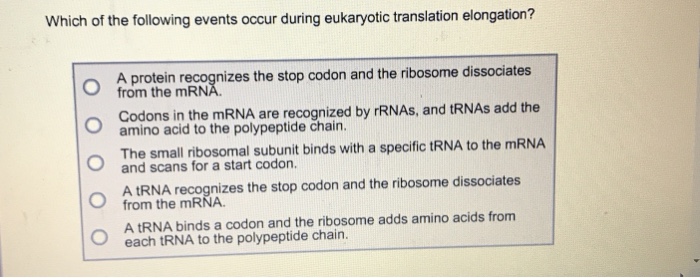 Solved: Which Of The Following Events Occur During Eukaryo... | Chegg.com