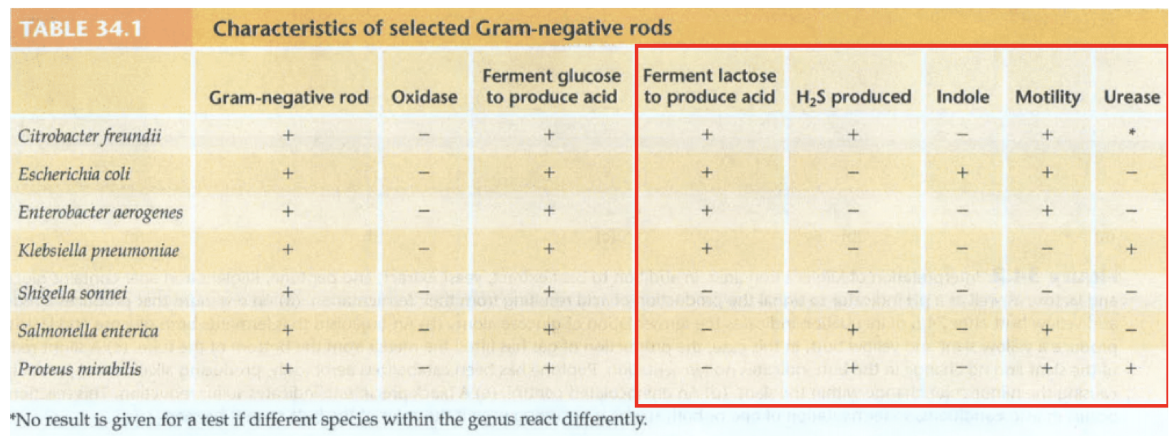Solved Please create a dichotomous key and solve the | Chegg.com