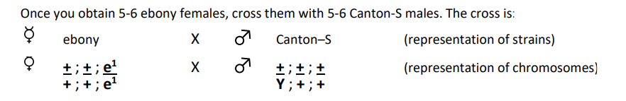 Solved a) Chi-square test b) df calculation, p-value? c) | Chegg.com