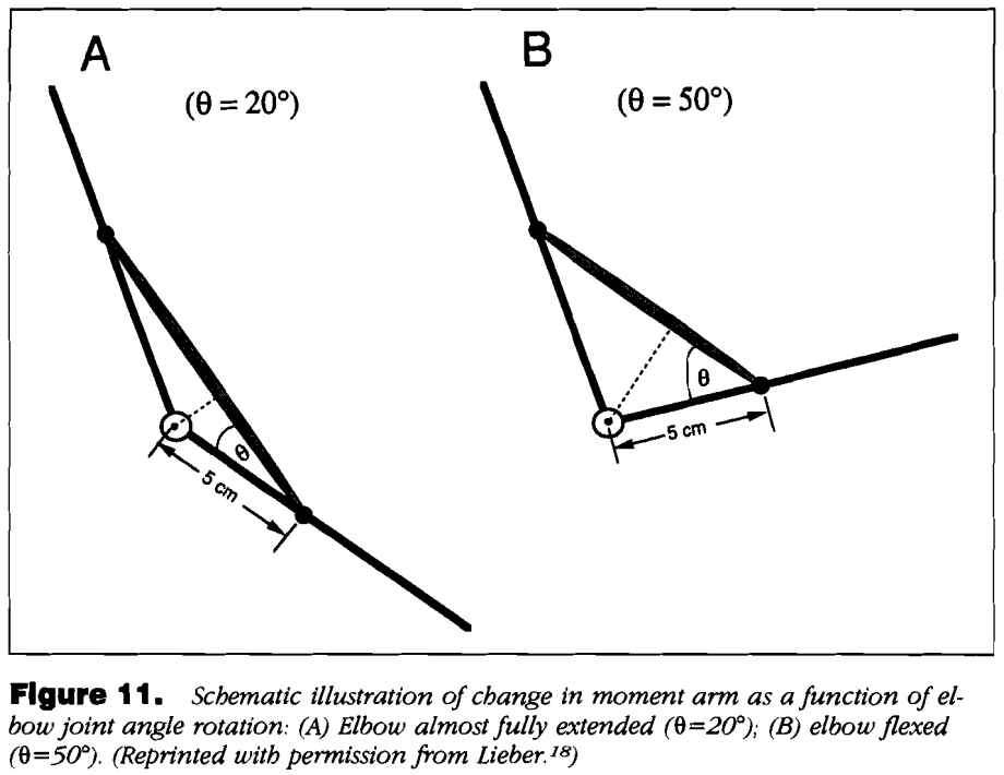 Solved In figure 11, if the illustrated joint rotation | Chegg.com