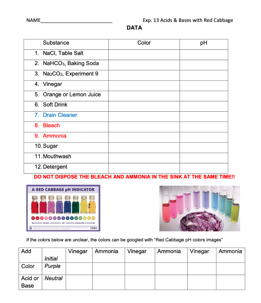 Test pH levels with red cabbage - Discovery Express