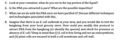 banana dna extraction lab report answers