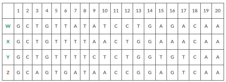 Solved Parsimony Tree Buildingbelow Is An Aligned Dna Chegg Com